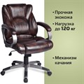 Кресло офисное BRABIX "Eldorado EX-504", экокожа, коричневое, 530875 530875