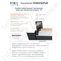 Металлическая дверь ВИНТЕР 100 (Терморазрыв) Дуб шале морёный 2760