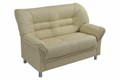 Диван В-100 (2х мест) 3208